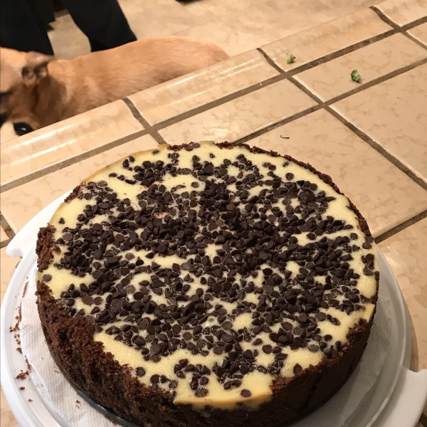 Simple Chocolate Chip Cheesecake