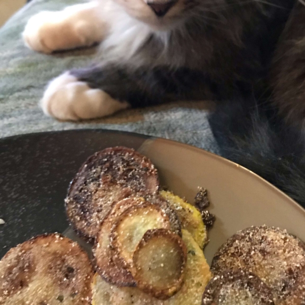 Fried Yellow Squash