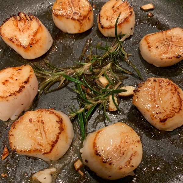 Sautéed Scallops