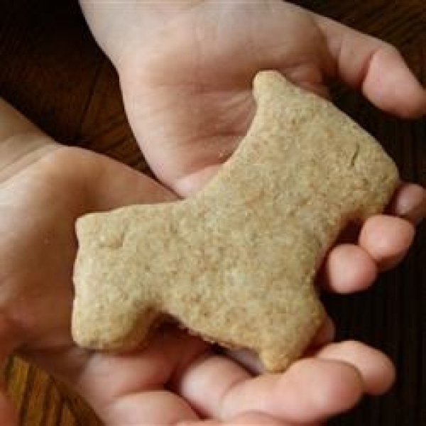 Whole Wheat Cut Out Cookies