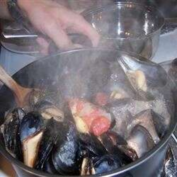 Melissa's Mussels