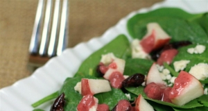 Spinach Salad with Pomegranate Cranberry Dressing
