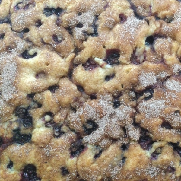 Grandma Donnie's Blueberry Coffee Cake