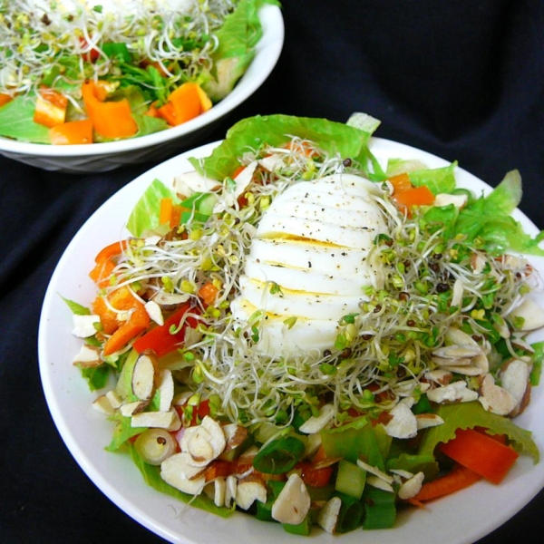 Bird's Nest Salad