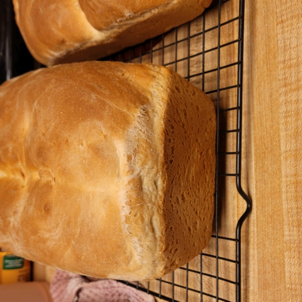 Traditional White Bread