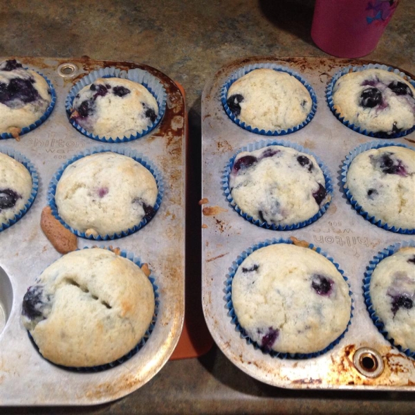 Low-Cholesterol Blueberry Muffins II