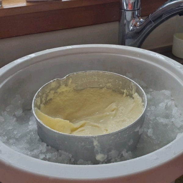 Creamy Vanilla Ice Cream