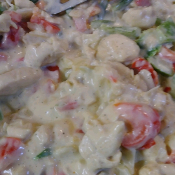 Cajun Chicken Alfredo