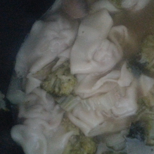 Homemade Wonton Soup