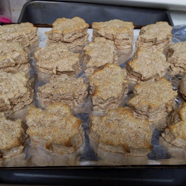 Vegan Whole Wheat Biscuits