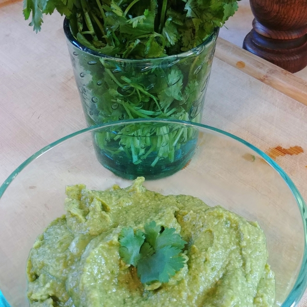 Cilantro Jalapeno Hummus