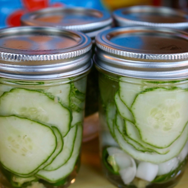 Mona's Easy Refrigerator Pickles