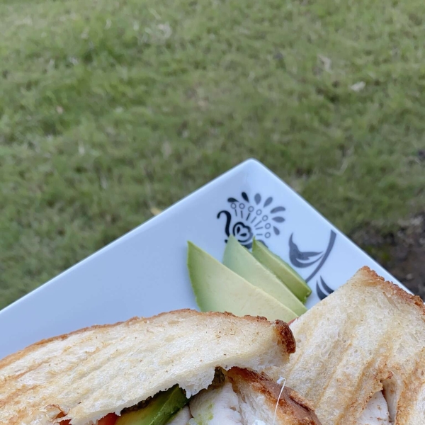 Best Chicken Panini