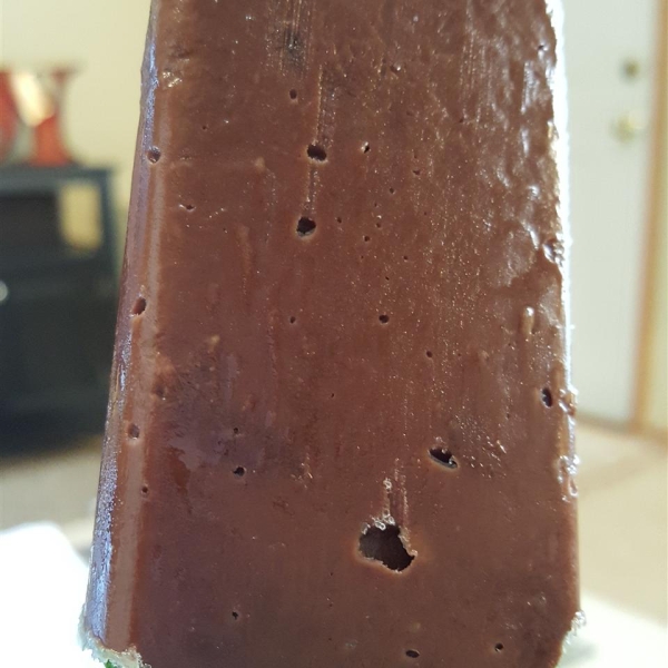 Double Chocolate Frozen Fudge Pops