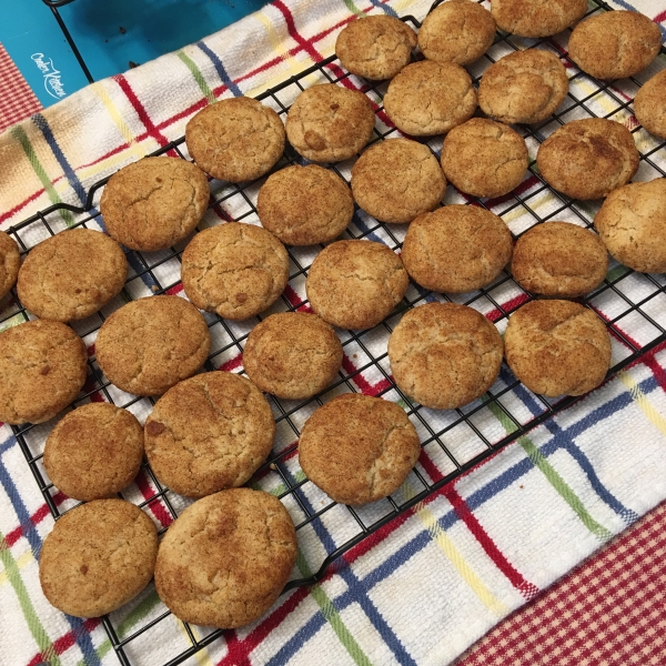 Whole Wheat Snickerdoodles II