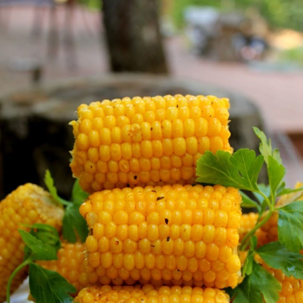 Tasty BBQ Corn on the Cob