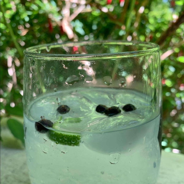 Juniper Lime Gin and Tonic