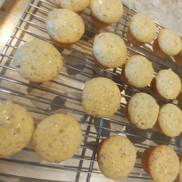 Quick Lemon Poppy Seed Muffins