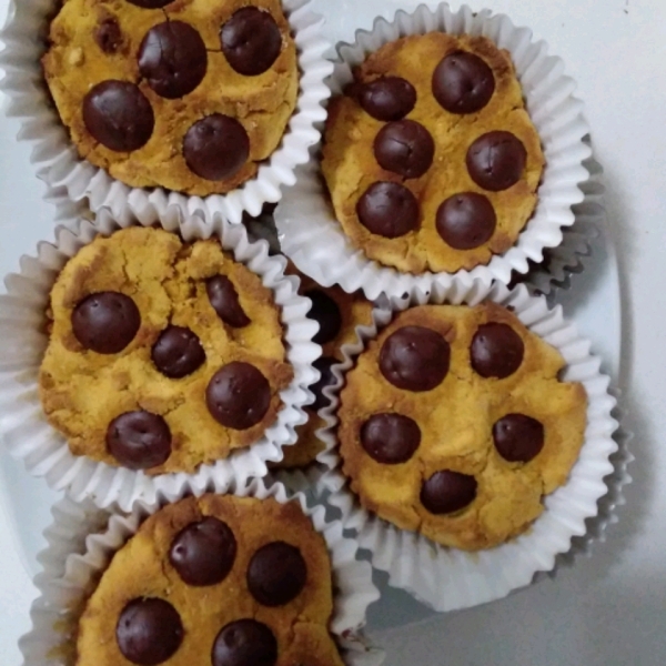 Low-Fat Vegan Pumpkin Chocolate Chip Muffins