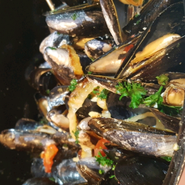 Mussels in a Fennel and White Wine Broth