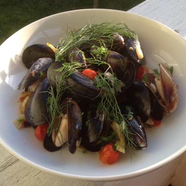 Mussels in a Fennel and White Wine Broth