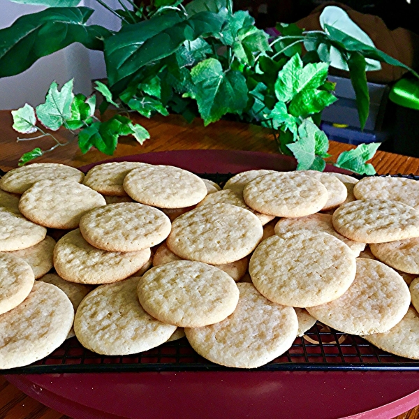 Queso Fresco Sugar Cookies