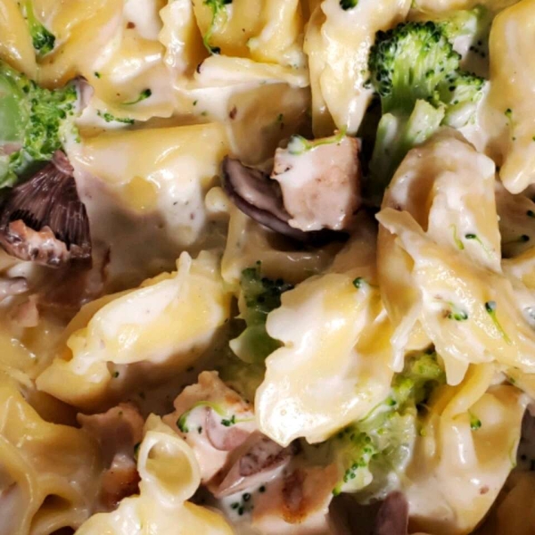 Creamy Garlic Sauce