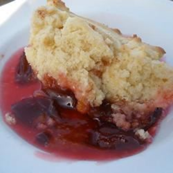 Plum Pudding