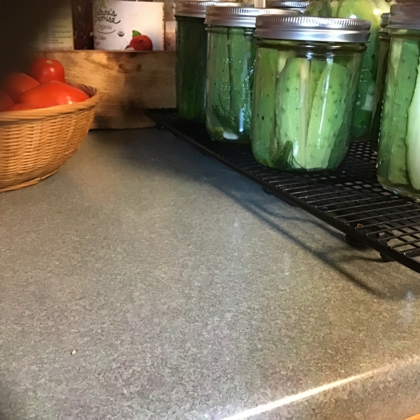 Refrigerator Garlic Dill Spears