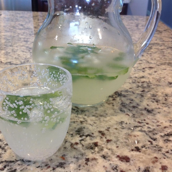 Sugar-Free Mojito Punch