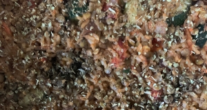 Lentil Rice and Veggie Bake