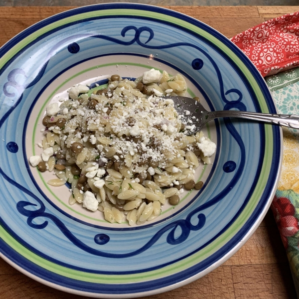 Minty Orzo Lentil and Feta Salad