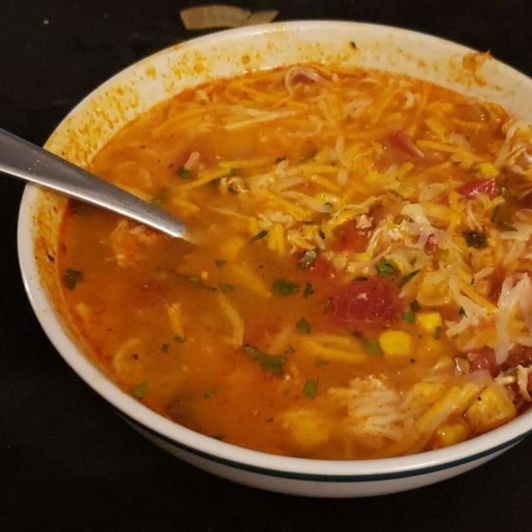 Chicken Enchilada Slow Cooker Soup