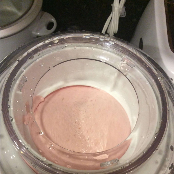 Chef John's Strawberry Ice Cream