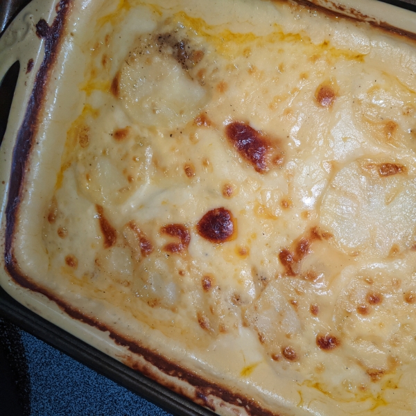 Creamy au Gratin Potatoes