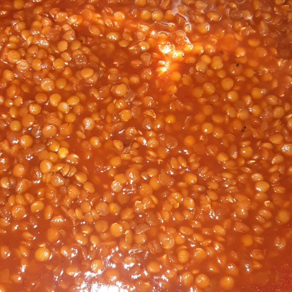 Vegan Lentil Sloppy Joes