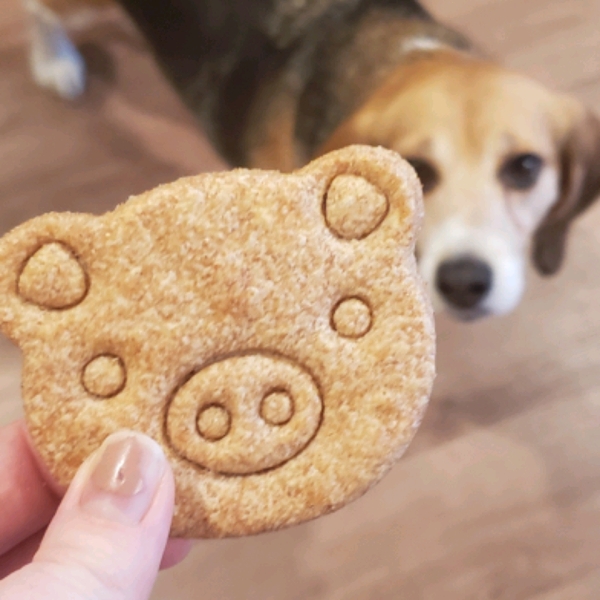 Bacon-Flavored Dog Biscuits