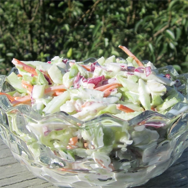 Greek Yogurt Coleslaw