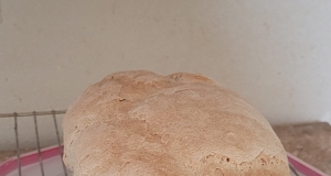 Easy 100% Whole Wheat Bread