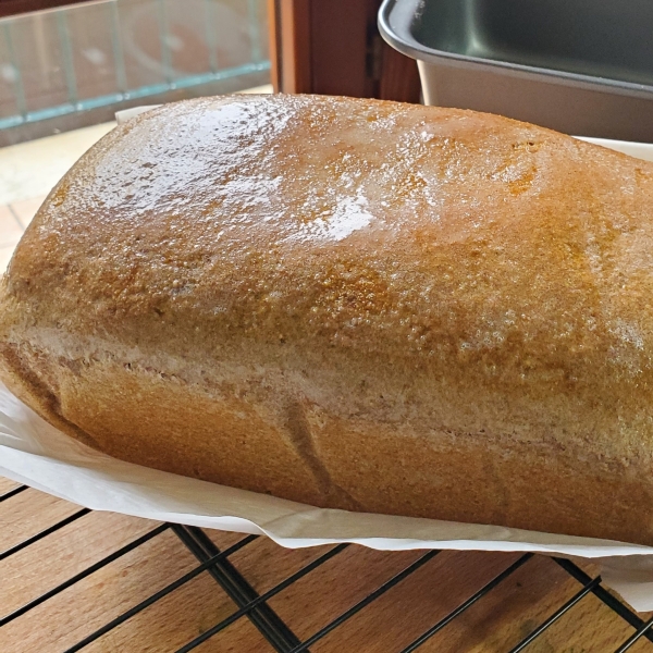 Easy 100% Whole Wheat Bread