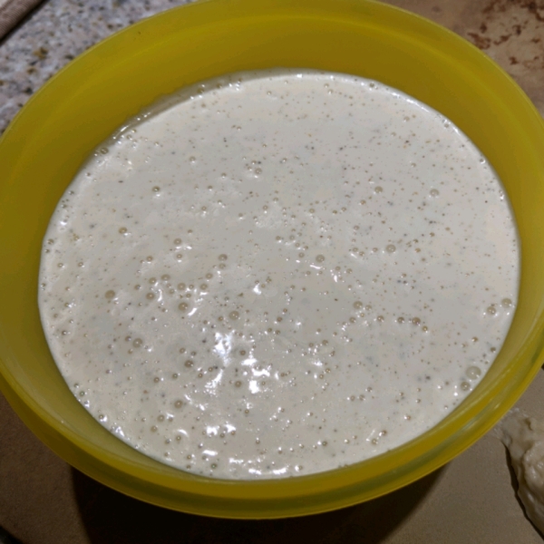 Creamy Italian Dressing I