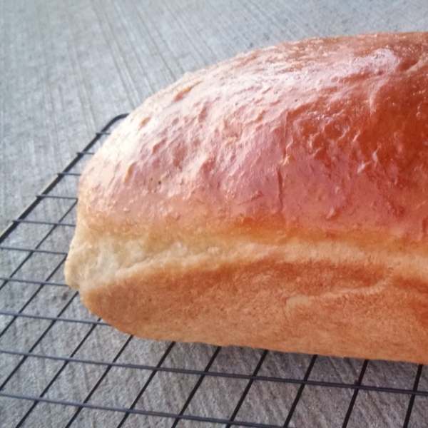 Oatmeal Applesauce Bread