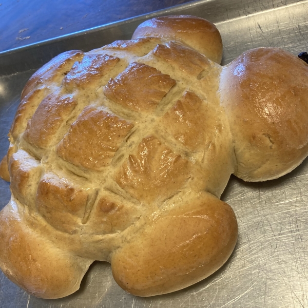 Turtle Bread