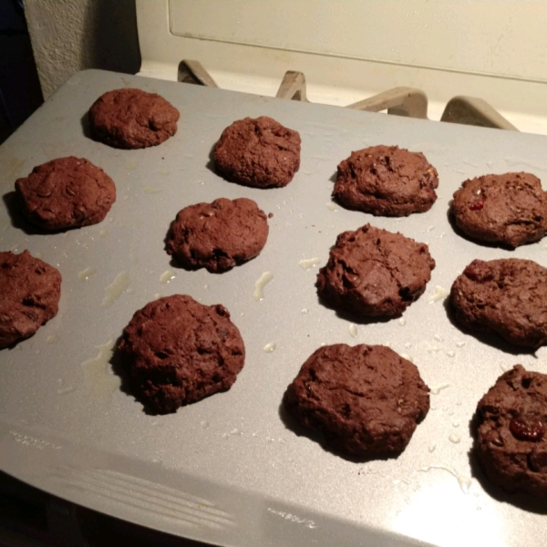 Chocolate Chip and Cranberry Scones