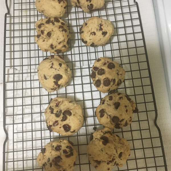 Chocolate Chip and Cranberry Scones