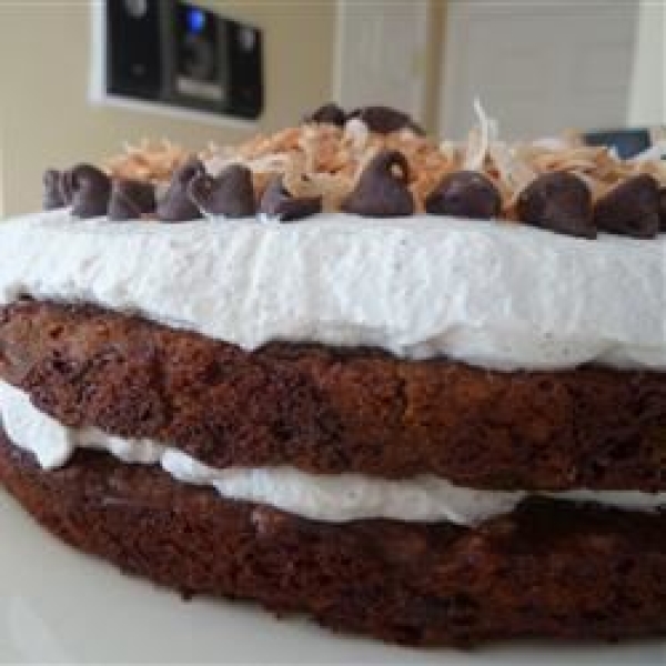 Quick Chocolate Chip Cake