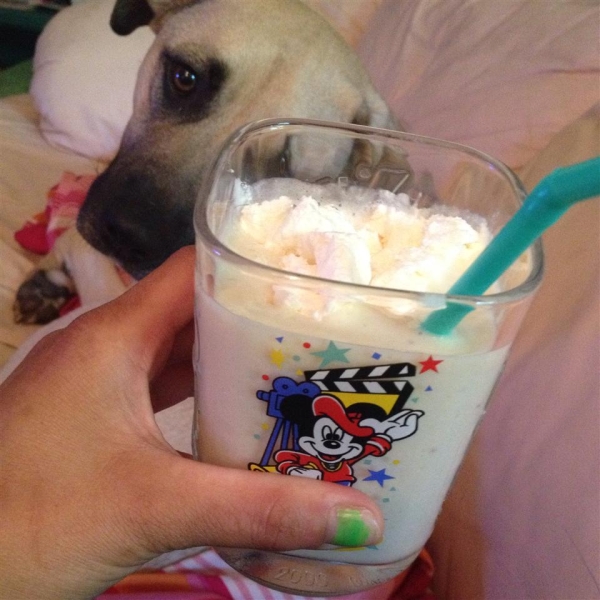 Apple Vanilla Smoothie