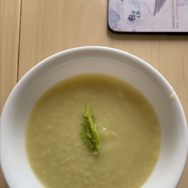 Leek and Fennel Soup