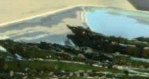 Grilled Asian Asparagus