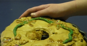 Taffy Apple Cake
